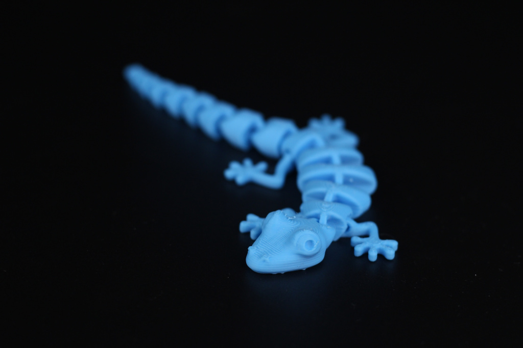 Flexi-Lizzard-on-the-Sermoon-V1-Pro5.jpg Flexi-Lizzard-on-the-Sermoon-V1-Pro5.jpg