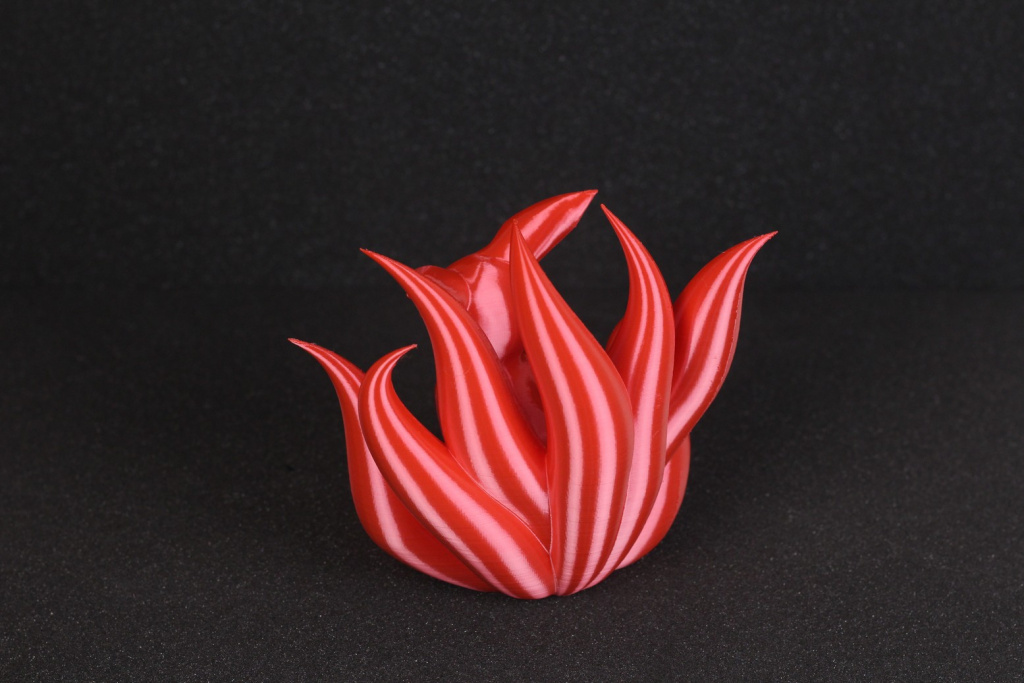 Adolescent-Nine-Tails-3.jpg Adolescent-Nine-Tails-3.jpg
