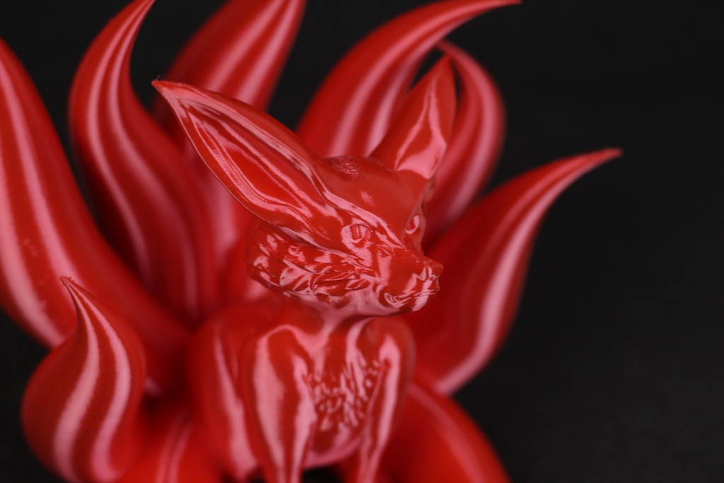 Adolescent-Nine-Tails-4.jpg Adolescent-Nine-Tails-4.jpg