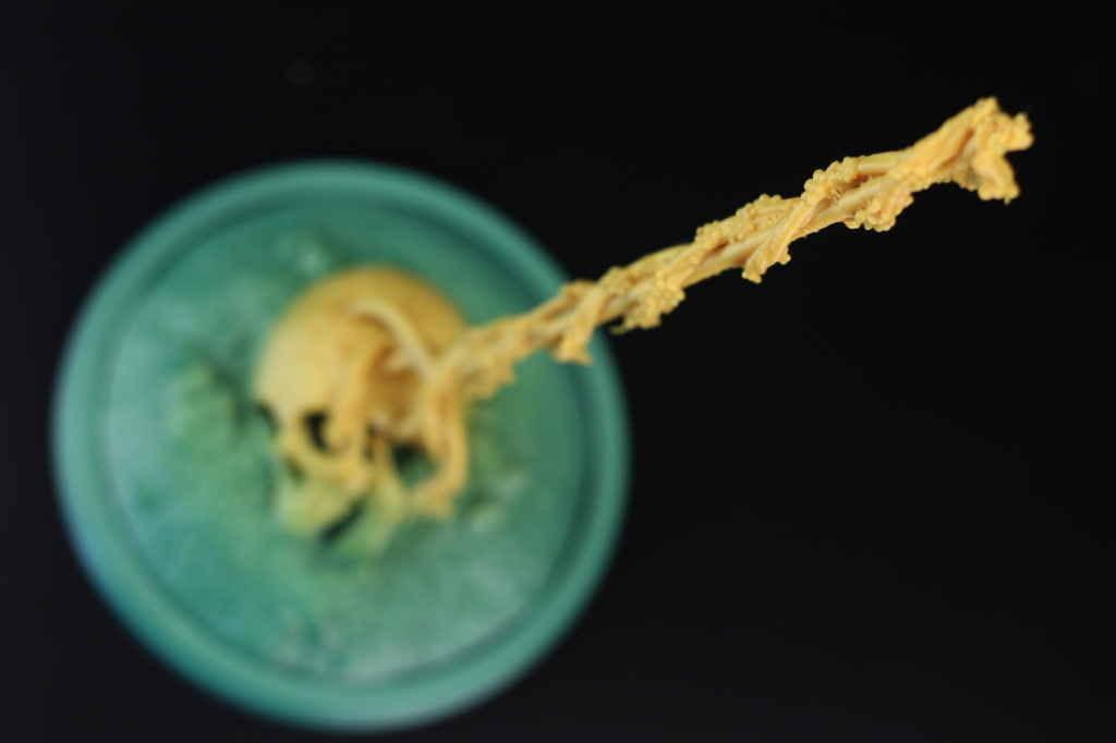 Impaled-Skull-printed-on-the-Creality-Ender-6-5-1024x682.jpg Impaled-Skull-printed-on-the-Creality-Ender-6-5-1024x682.jpg